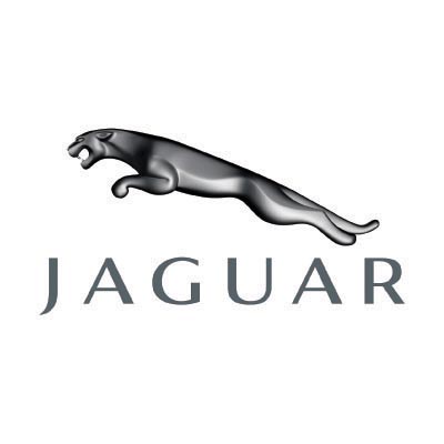 Custom jaguar logo iron on transfers (Decal Sticker) No.100188